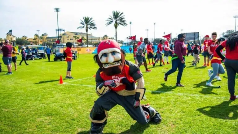 mascot dress as a pirate on a football field
