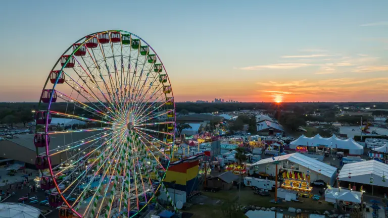 a Ferris Wheel at sunset