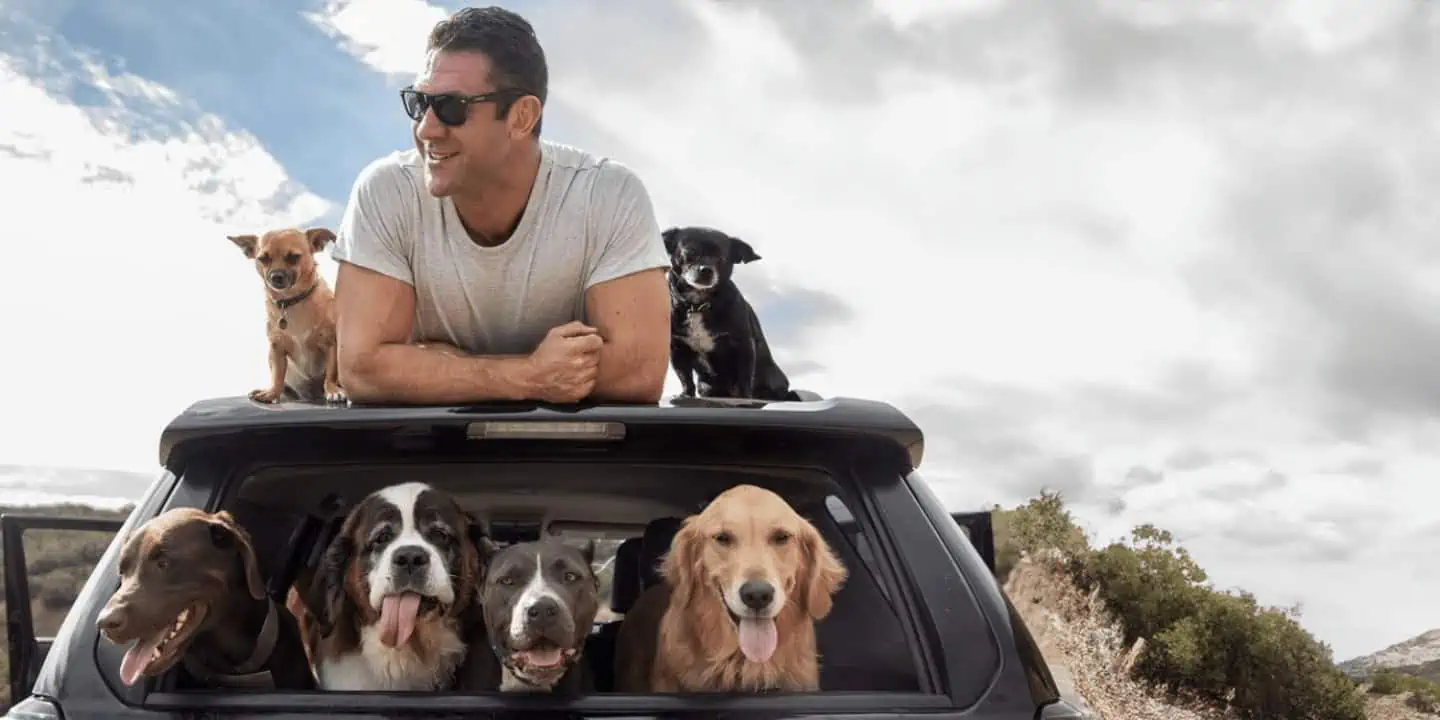 Lee Asher on top of truck with dogs in the back
