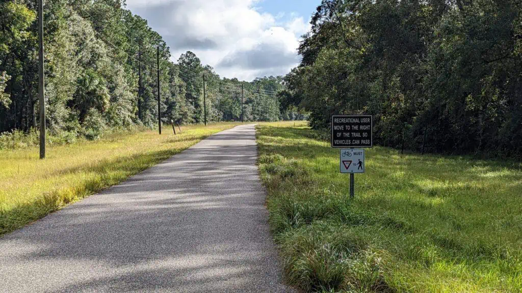 a paved bike path through the woods of Florida