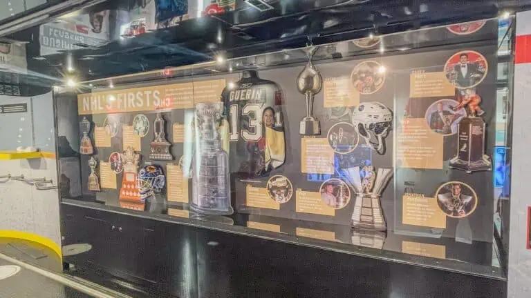 glass case featuring NHL memorabilia