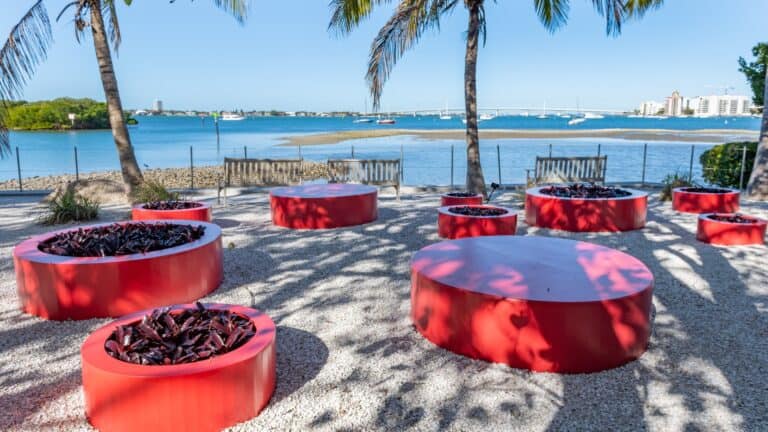 red circles scattered around a beach with waterfront views and palm trees in the back ground