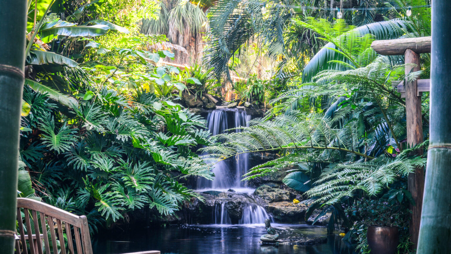 Selby Gardens Is One Of The Most Beautiful Botanical Gardens In America ...