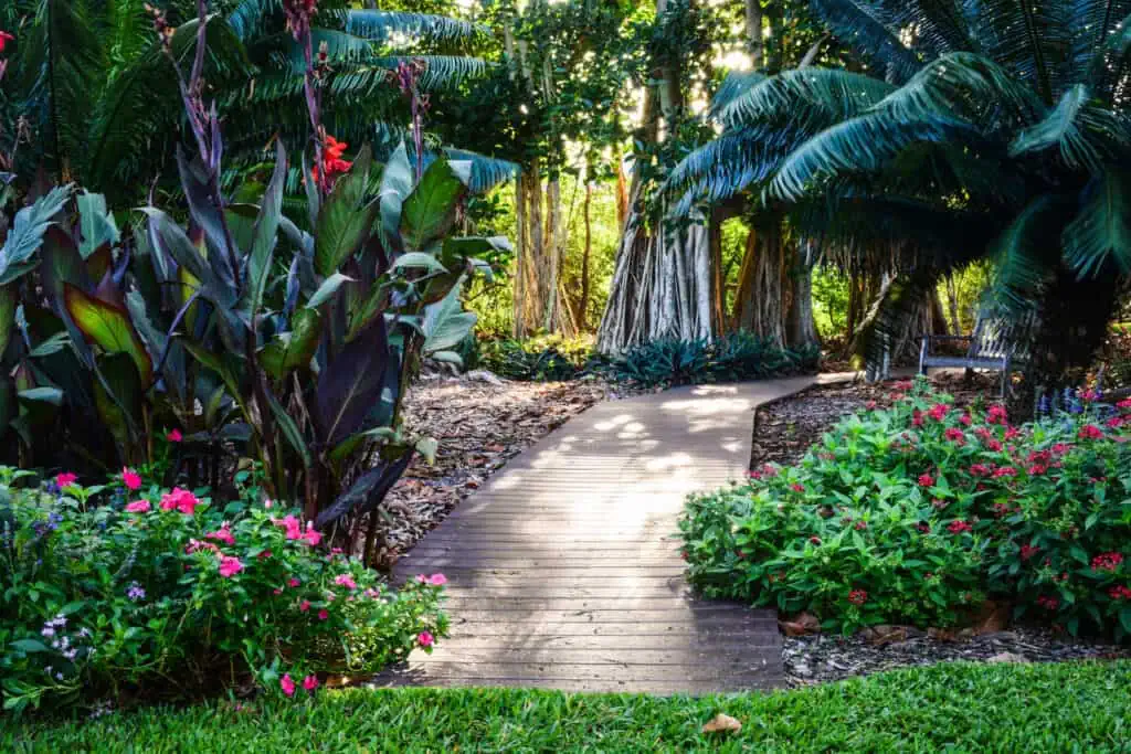 a boardwalk path straight through a botanical garden