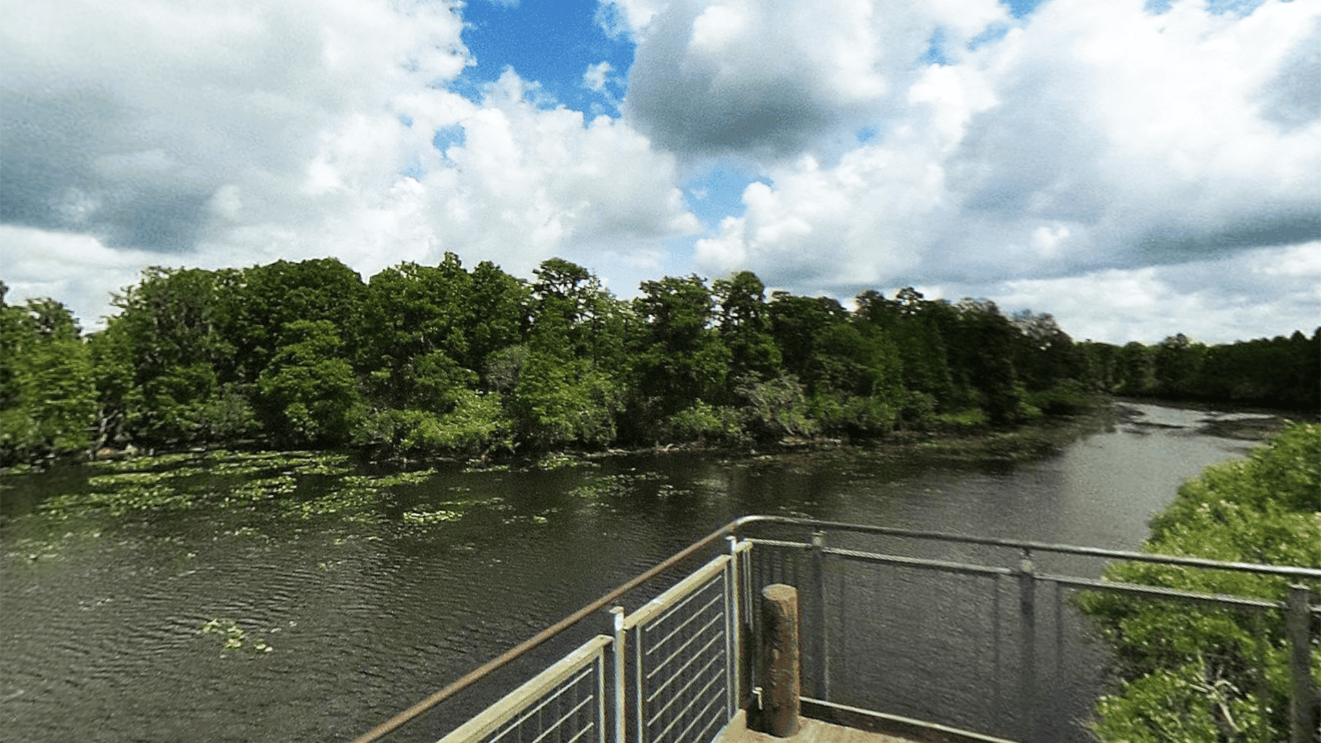 Lettuce Lake Park, a 240-acre natural paradise in Hillsborough County ...