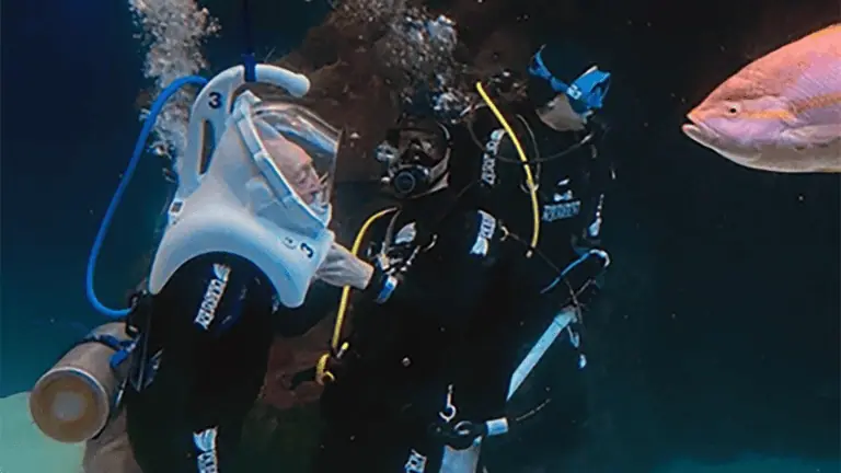 two people go diving in tank at an aquarium