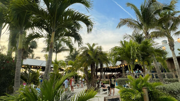 Salt Shack on the Bay named one of Florida's Best Beach Bars | That's ...