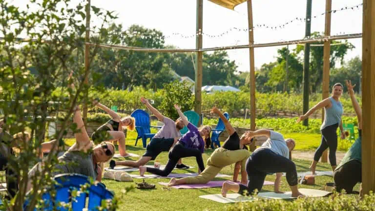 people practice yoga on a farm