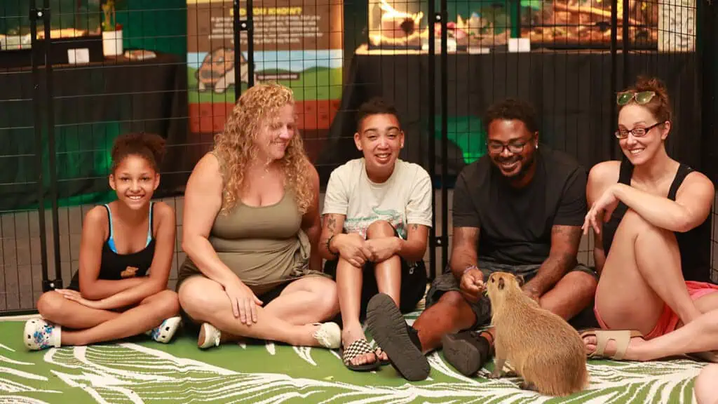 a group of people interact with a small baby capybara 