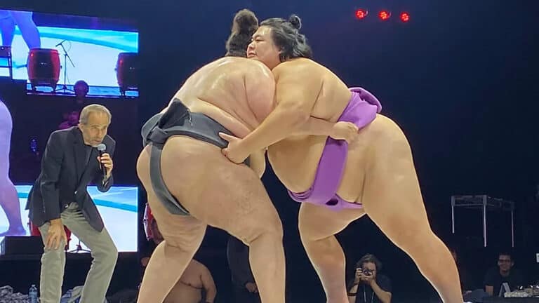 two sumo wrestlers in a ring