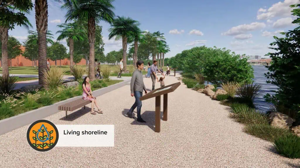 rendering of a living shoreline project