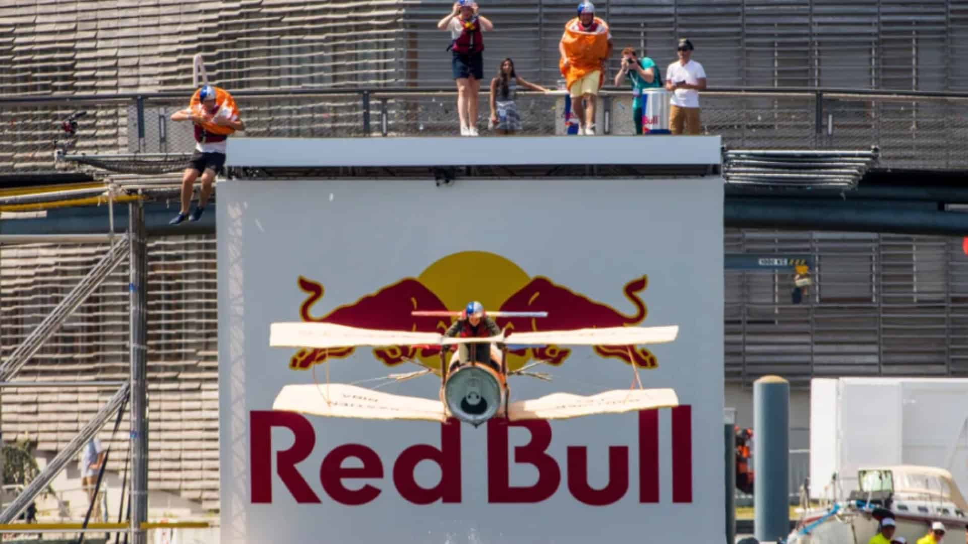 red bull flugtag 2 That's So Tampa