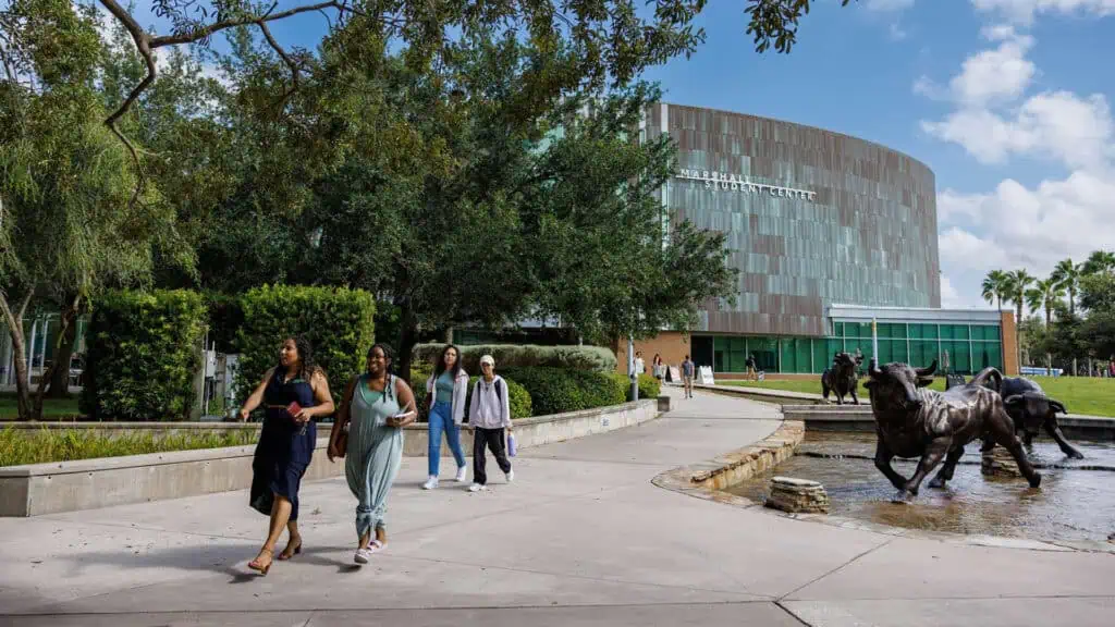 a college campus with students walling on the sidewalk in front of an honors eluding