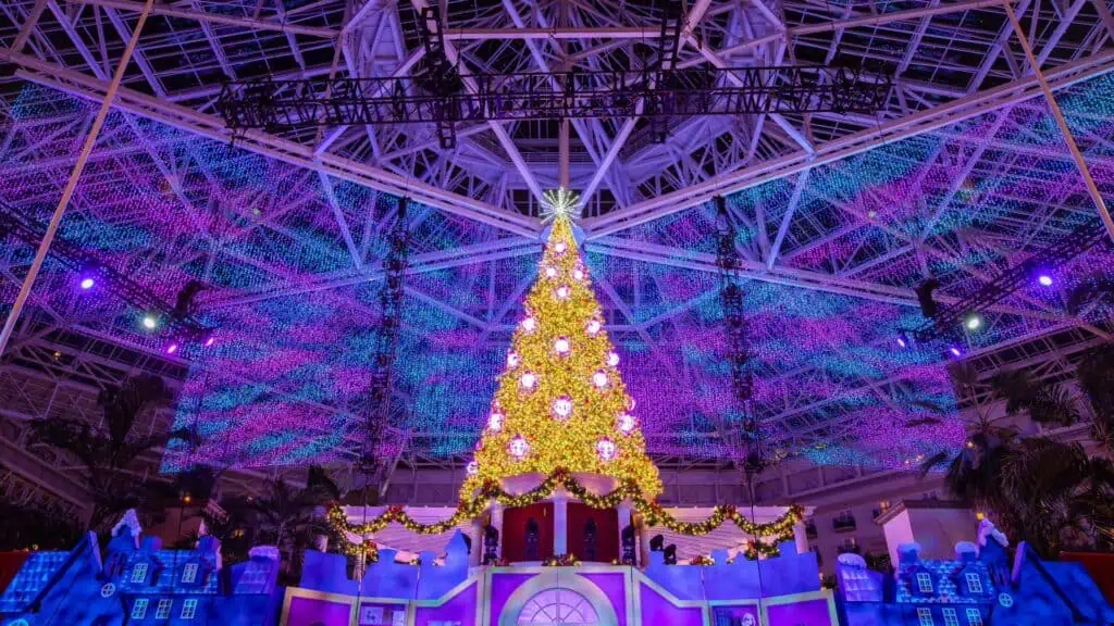 a large Christmas tree surrounded by lights