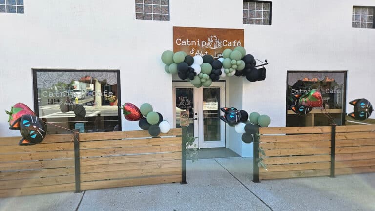 exterior of a cat cafe and lounge