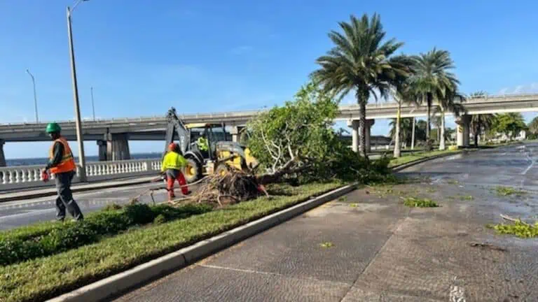 crews work to clean up debris at a waterfront area