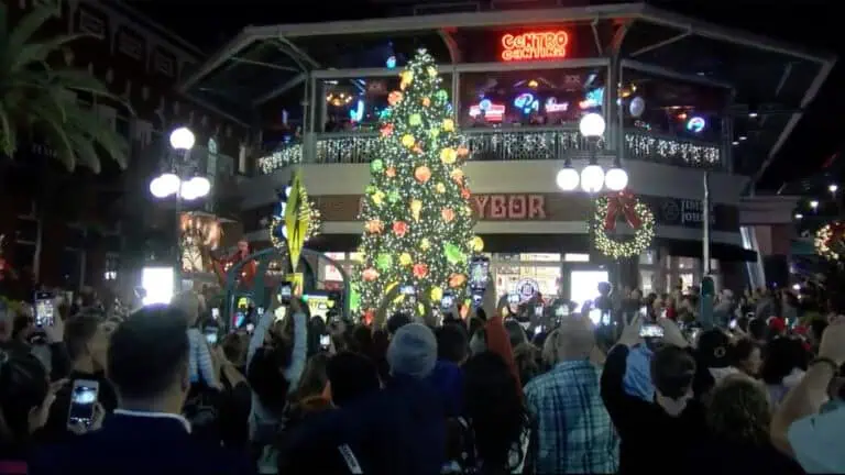 A large Christmas tree is lit up in a downtown area. A crowd of people surrounds it