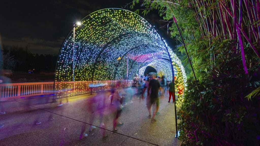 illuminated tunnel of lights