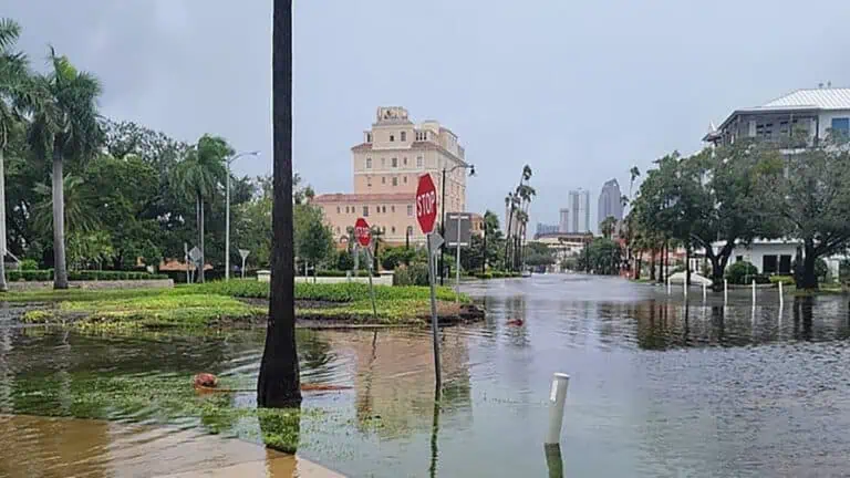 flood damage in city