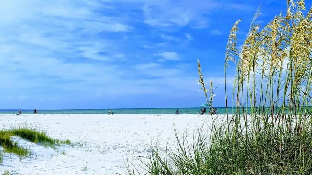 a white sand beach during the day