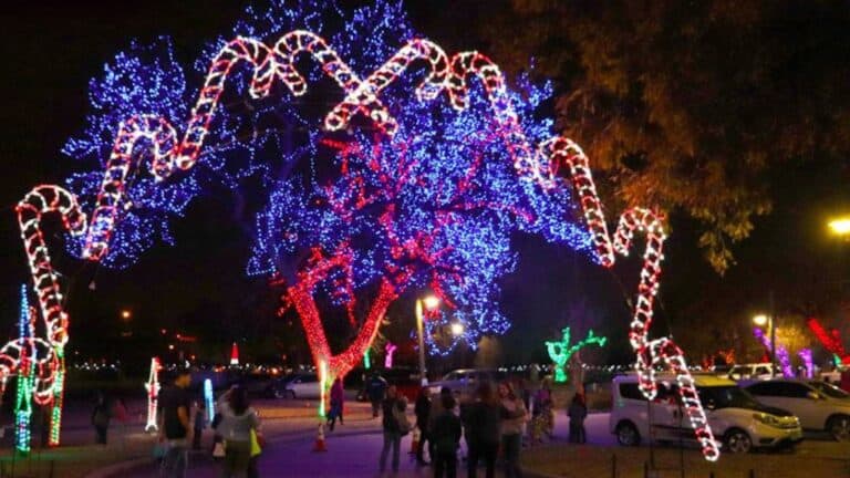 a large holiday lights display at a par