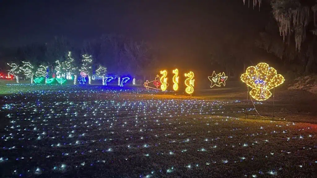 light displayed on a field 