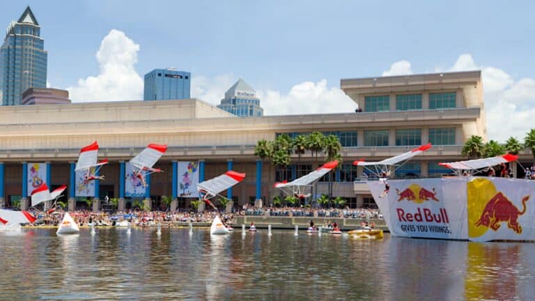 a hang glider performs on the waterfront in Tampa