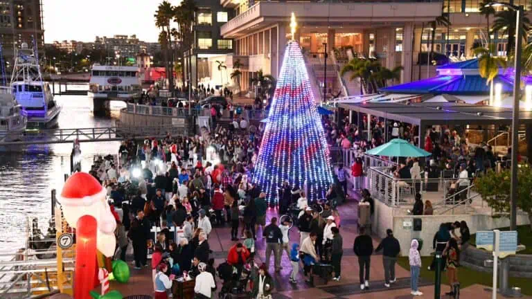 A large light display with a Christmas tree set up on a waterfront area