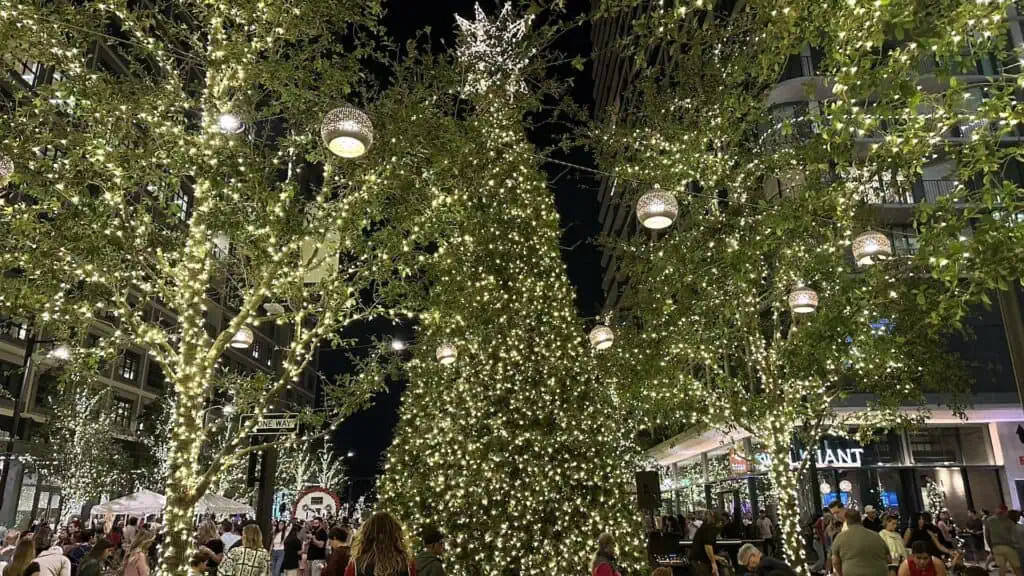 a large Christmas tree at the center of a shopping district 