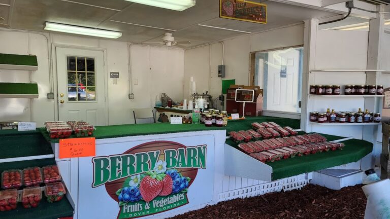 the register at a roadside strawberry stand