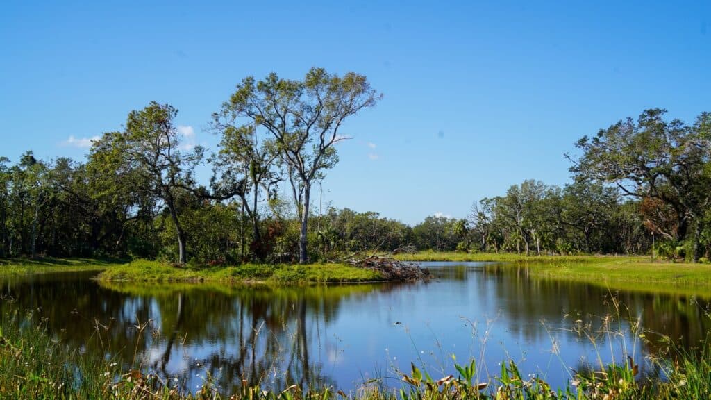 a large park with a lake at its center