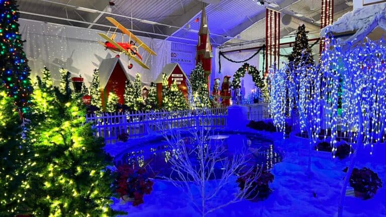 multiple Christmas lights arranged around a holiday village