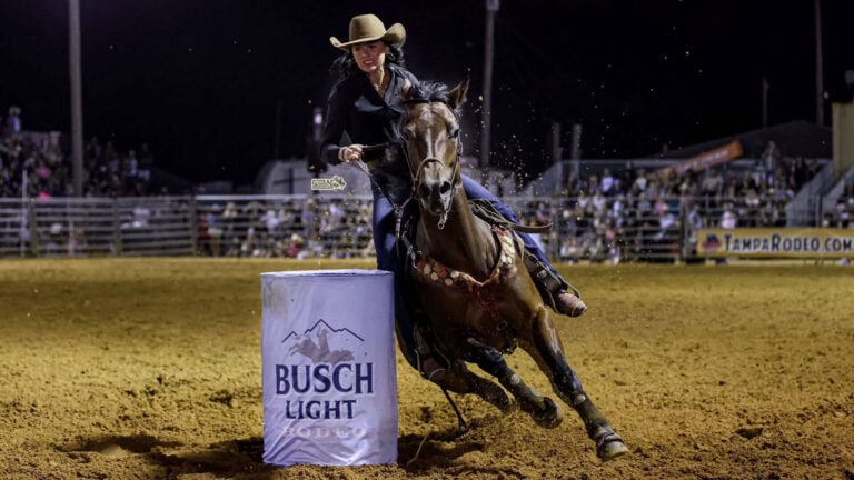 A person riding a horse