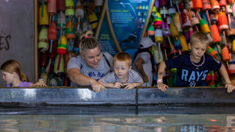Kids and parents checking out fishes at an aquarium