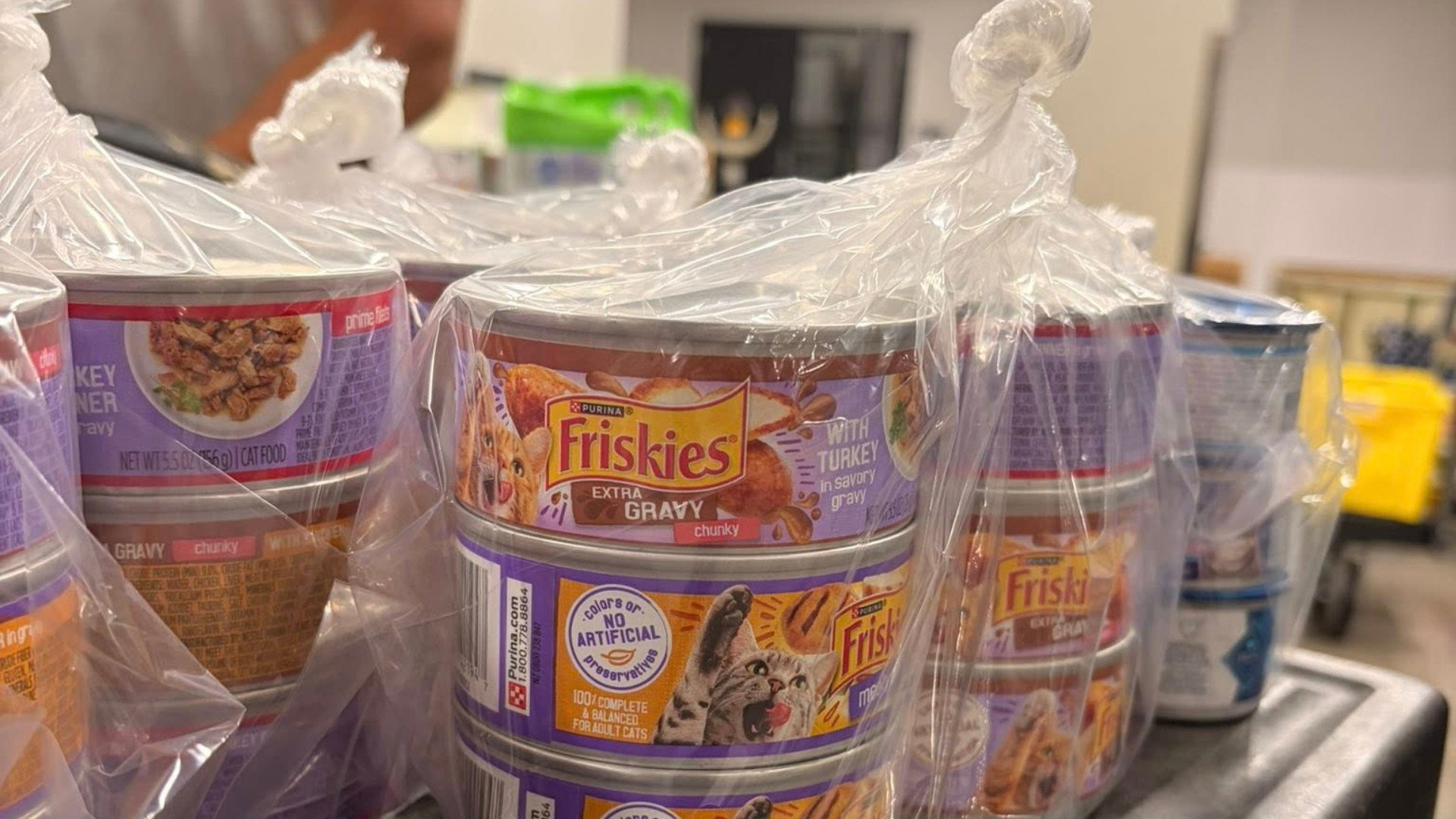 Feeding Tampa Bay opens a free pet food pantry to help keep pets out of shelters