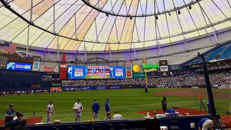A Rays baseball game