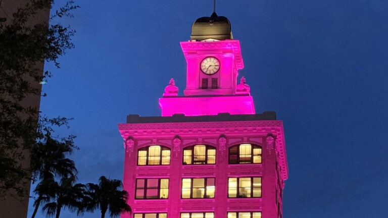 Tampa City Hall lit up pink