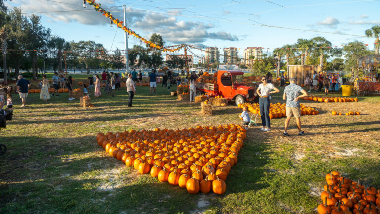 People at a Pumpkin Patch at the St. Pete Pier