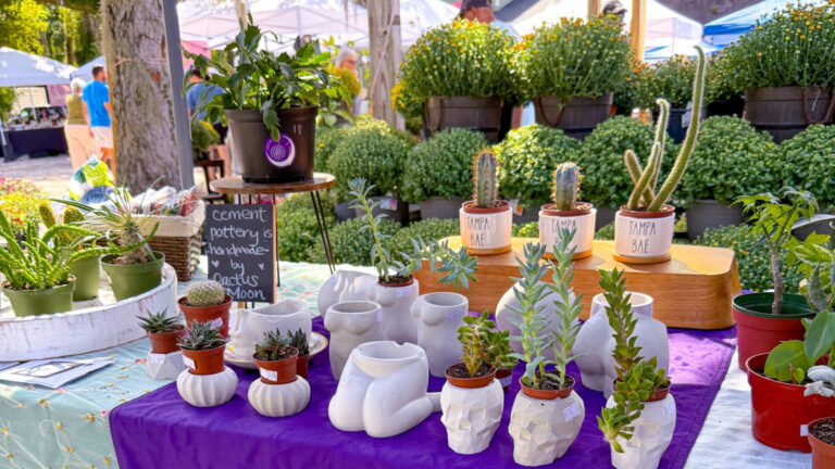 plant market setup