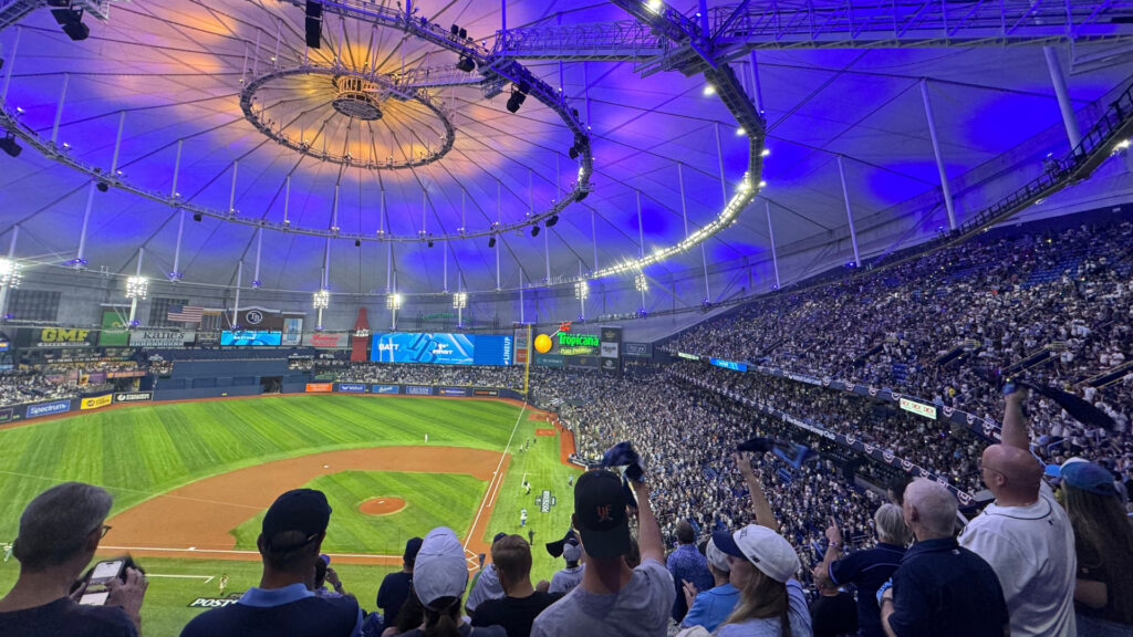 People celebrating the Rays at Tropicana Field